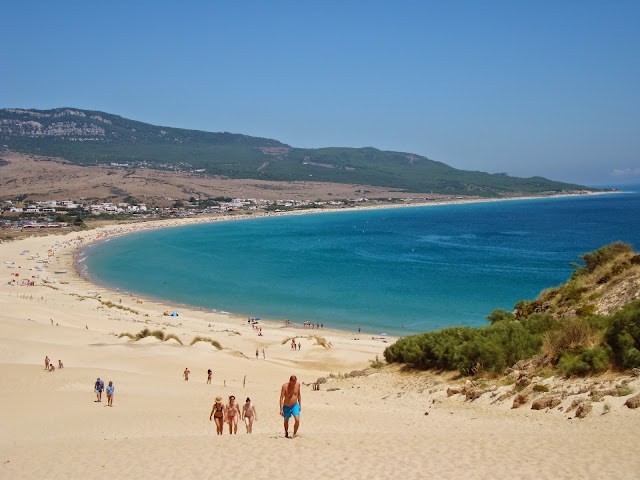 Bolonia