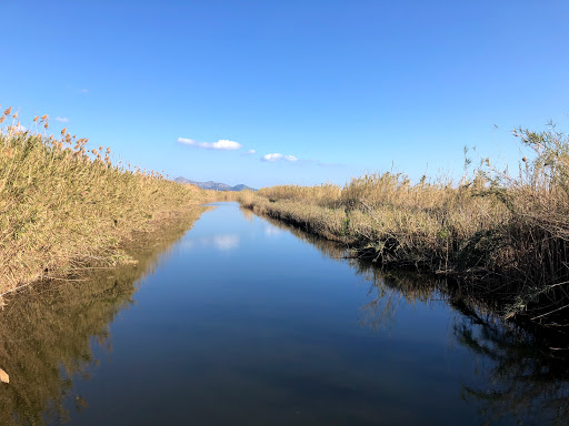 Parc Natural de s'Albufera de Mallorca