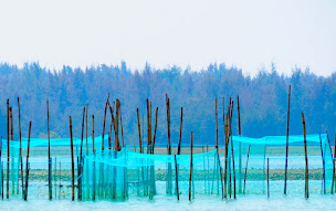 Photo n°18 de Thisy-Travels à Argenton-sur-Creuse (Agence de voyages)