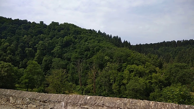 Eltz Castle by null