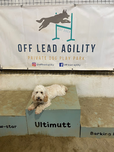 Off Lead Agility