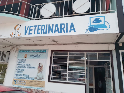 Vet Med - Servicios Veterinarios - Thumbnail