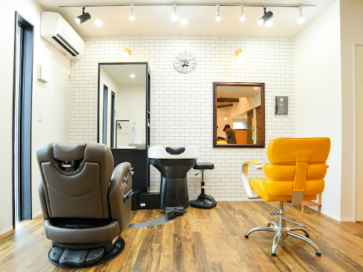 Barber Dandelion