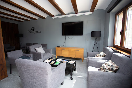 Hotel Mas de Cebrián by null