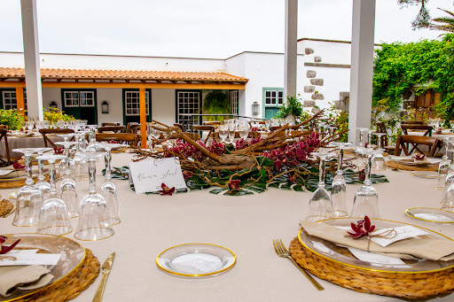 Floristería MISIFU´S HOUSE - Thumbnail