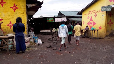 Photos of March&eacute; Central de Virunga