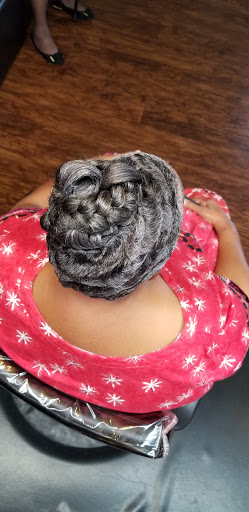 Wylde RootsSalon - Visual
