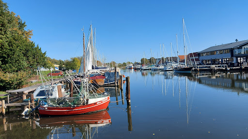 To'n Appelboom - Thumbnail