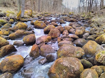 Photos of Velna grāvis uz Nāružiņas upes