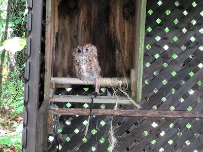 Woodlands Nature Station