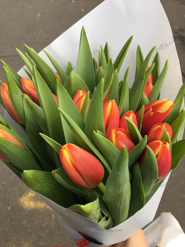 Monceau Fleurs - Fleuriste - Paris Denfert-Rochereau