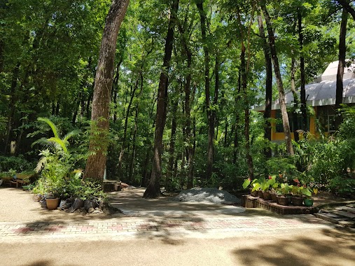 Navimana Forest Meditation Centre, Author: A De Silva