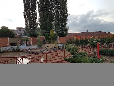 Photos of Black Swan Guesthouse