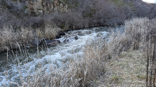 Towell Falls - Visual