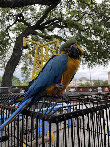 Texas T Tavern Gallery - United States