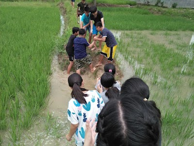 Photos of Rumah Pangan Organik Wonder Farm Organic