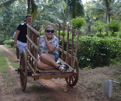 Photos of Agropark Millaniya