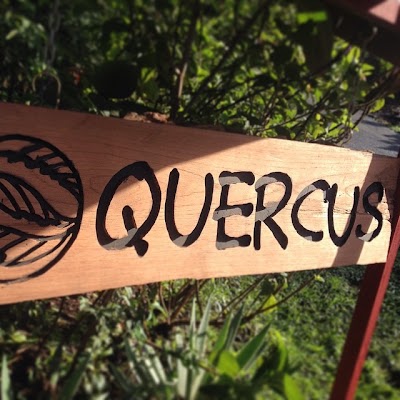 Photos of Centro de Aprendizaje Integral Quercus