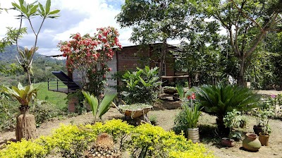 Photos of BosqueFrut Lodge
