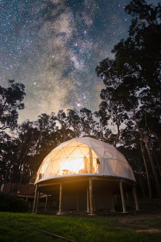 Mile End Glamping by null