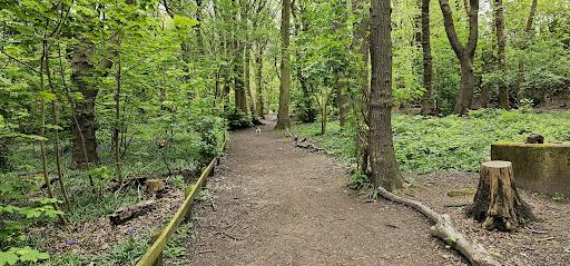 Eastham Woods Country Park - Thumbnail