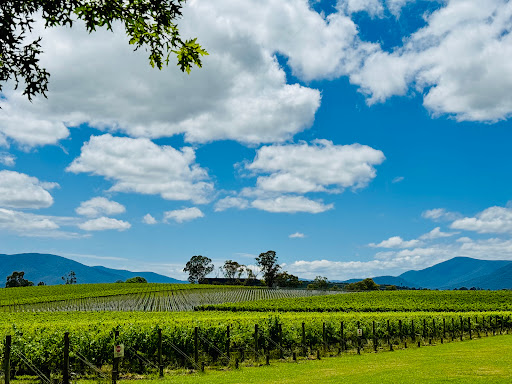 Oakridge Wines - Thumbnail