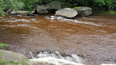 Photos of Tea Creek Campground