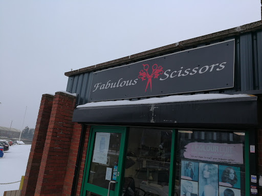 Fabulous Scissors - Visual