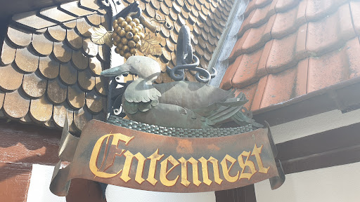 Entennest - Thumbnail