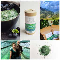 Photo n°8 de Spiruline Ôde des Pyrénées, producteur de spiruline biologique paysanne française à Castelbiague (Ferme aquacole)
