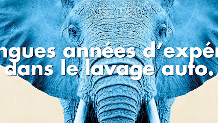 Eléphant Bleu