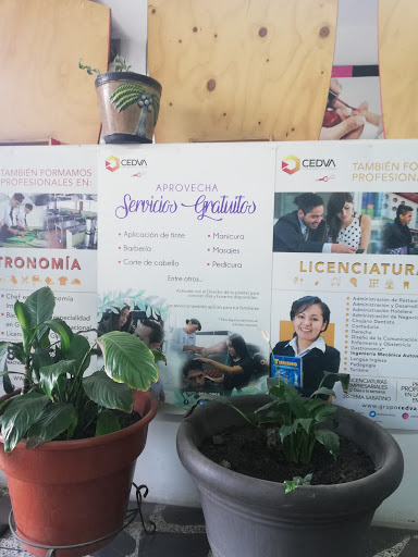 CEDVA Zumpango Gastronomía y Belleza - Thumbnail