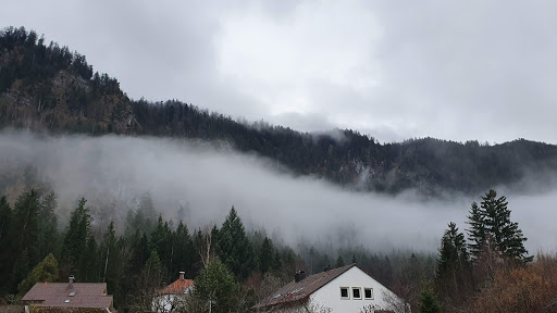 Auto-Osterried - Visual