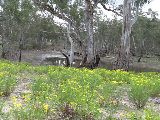 Ackle Bend - Visual
