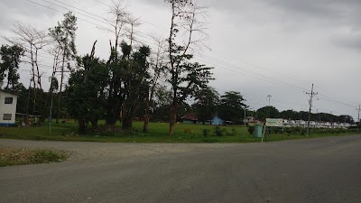 Photos of La Pura Vida - Albergue & Tourism Info