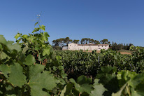 Domaine de Buzarens à Assas