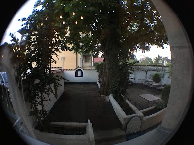 Photos of Taverne Odysseus