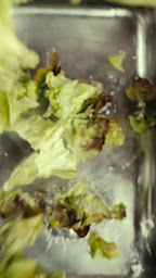 Photo n°2 de Courtepaille à Sandaucourt (Restaurant)