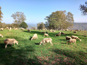 Photo n°6 de Ferme de Cumminges Élevage ovin à Prayols (Ferme)