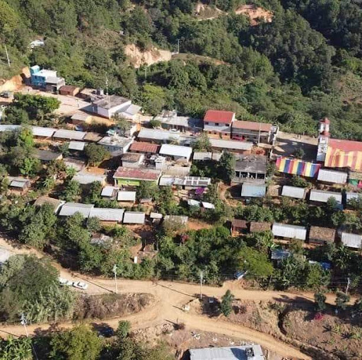 Guadalupe tilapa