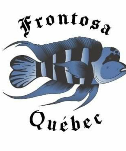 Quebecfrontosa - Visual