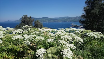 Amasra Deniz Feneri