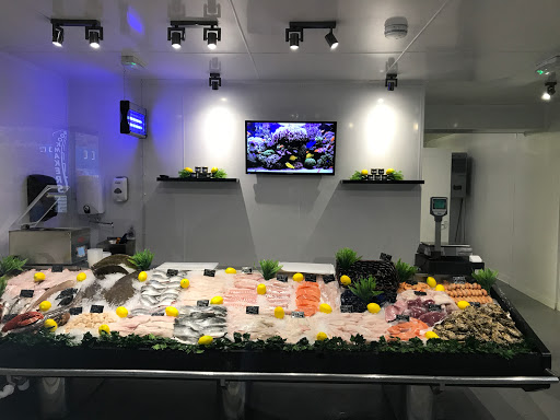 Pro Fish - Visual