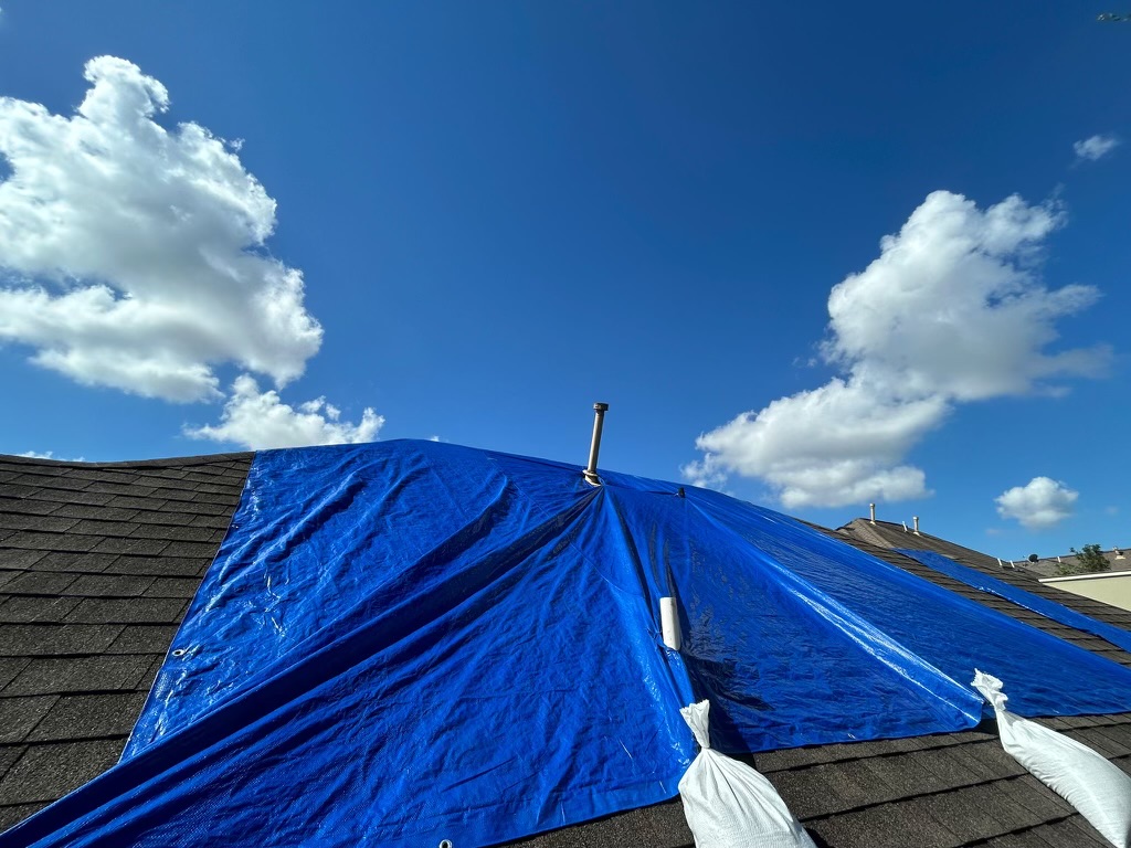 ServiceMaster Professional Services Tallahassee photo