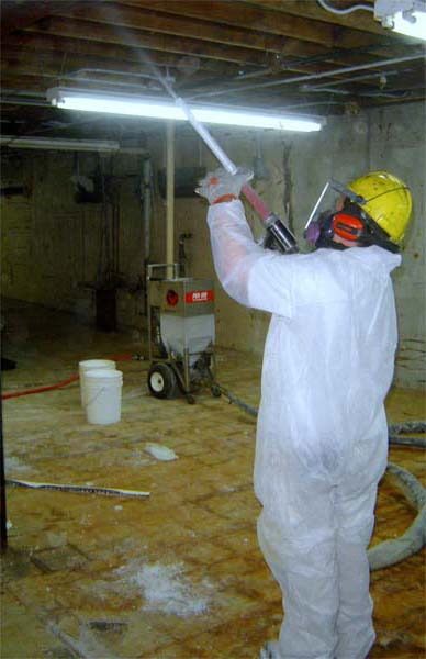 Above & Beyond Mold Inspection & Removal photo