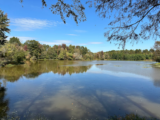 Van De Graaff Park and Arboretum - Thumbnail