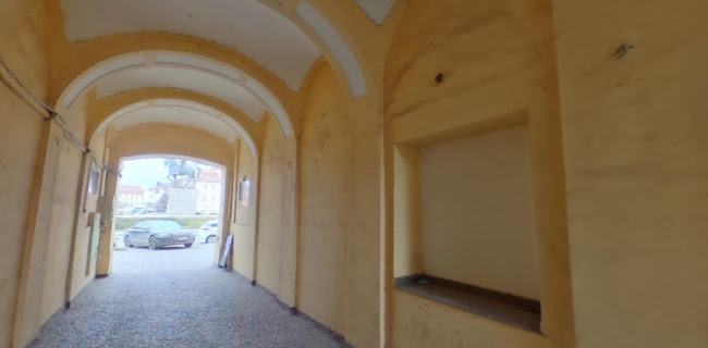 Opinii despre Magic Travel în Târgu Mureș - Agenție de turism