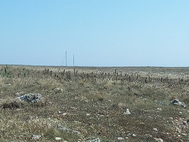 Baia dell'Orte