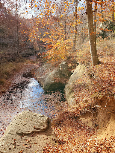 Sentry Bluff Trailhead - Thumbnail