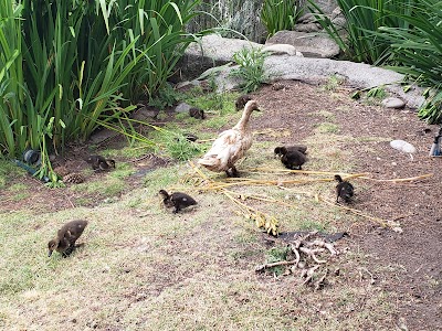 Happy Valley Alpaca Ranch